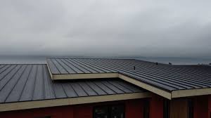 Best Storm Damage Roof Repair  in Lakemore, OH